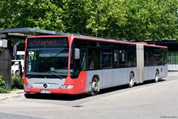 WF-VB 2308 Verkehrsbetriebe Bachstein